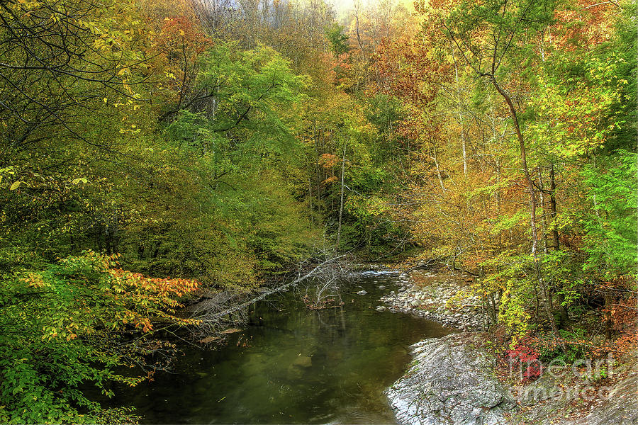 Fall Photograph - Smokies Autumn Splendor by Mike Eingle