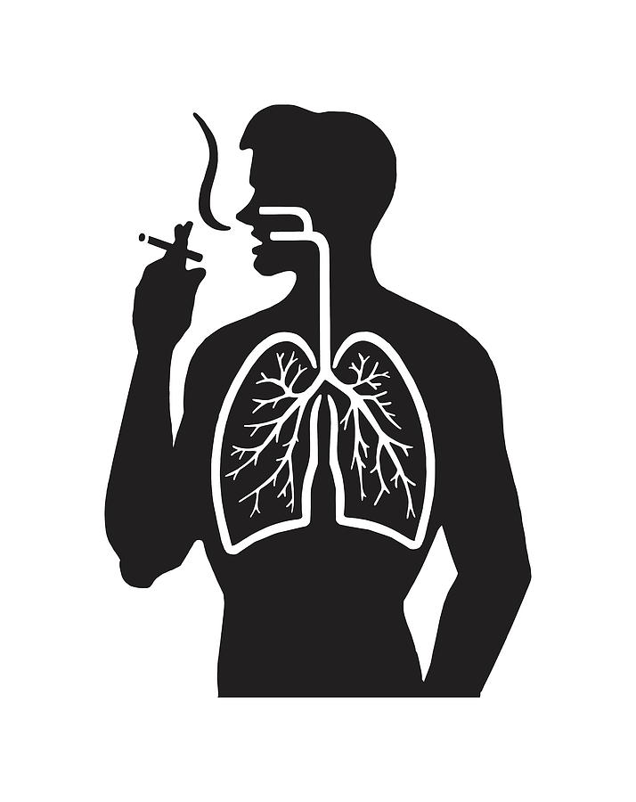 Human Lungs with Heart - SVG/JPG/PNG Hand Drawing