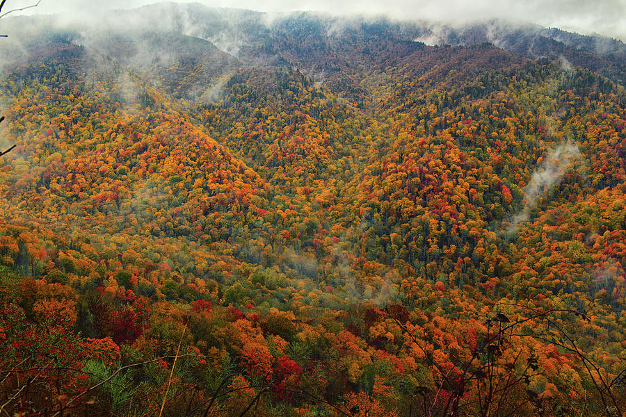 Smoky Autumn Photograph by Greg Norrell
