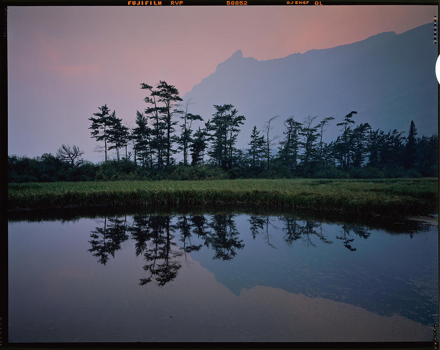 Tree Photograph - Smoky Morning At Glacier National Park by Lei Meng