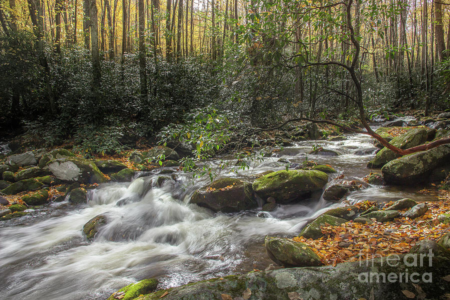 Smoky Mountain Autumn Stream Photograph by Mike Eingle