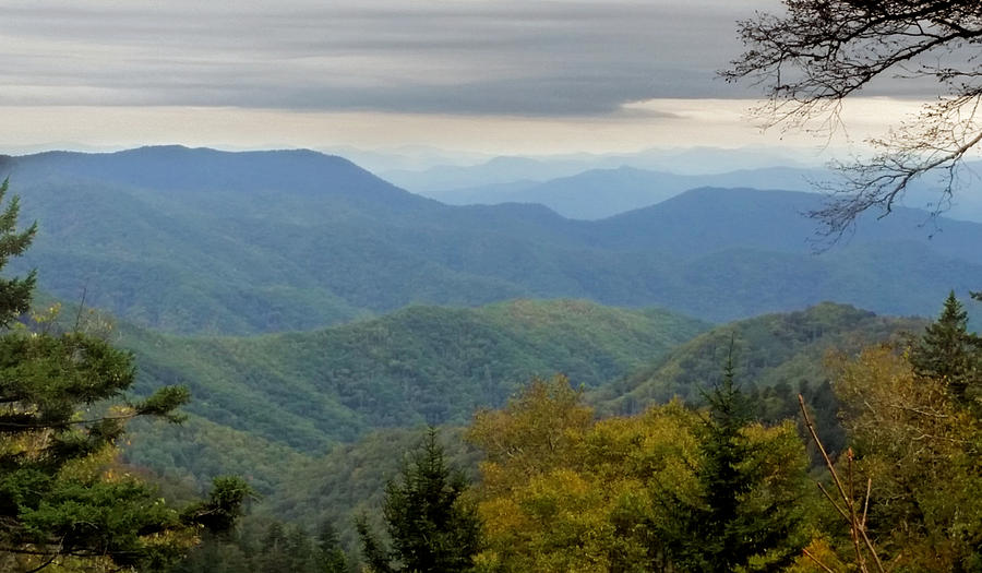 Smoky Mountain Beauty Photograph by Ally White