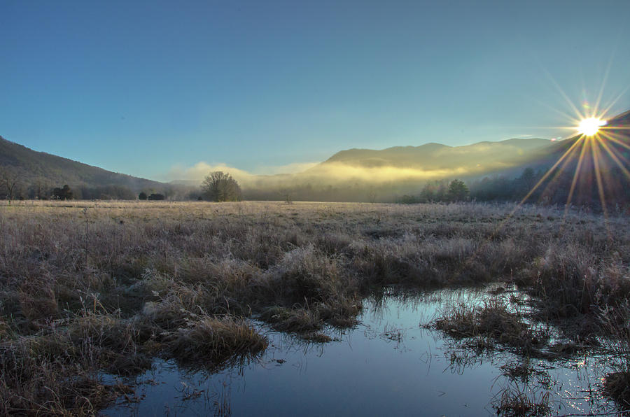 Smoky Mountain Dawn Photograph by Douglas Wielfaert