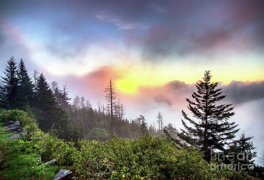Smoky Mountain Majesty 2 Photograph by Douglas Stucky