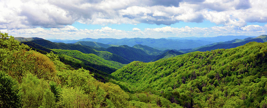 Smoky Mountain panoramic A Photograph by David Lee Thompson