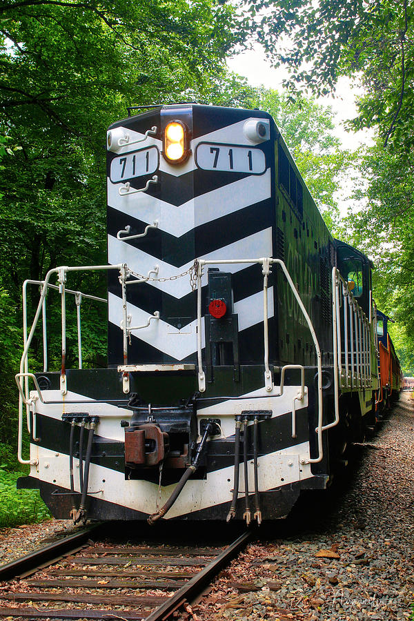 Smoky Mountain Railroad Photograph by Nunweiler Photography