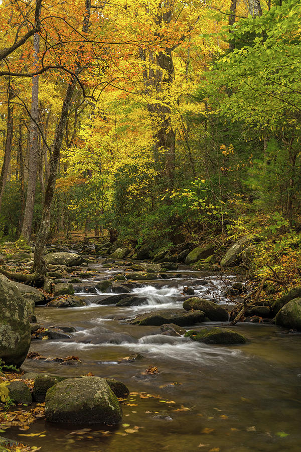 Smoky Mountain Scene Photograph by Eric Albright