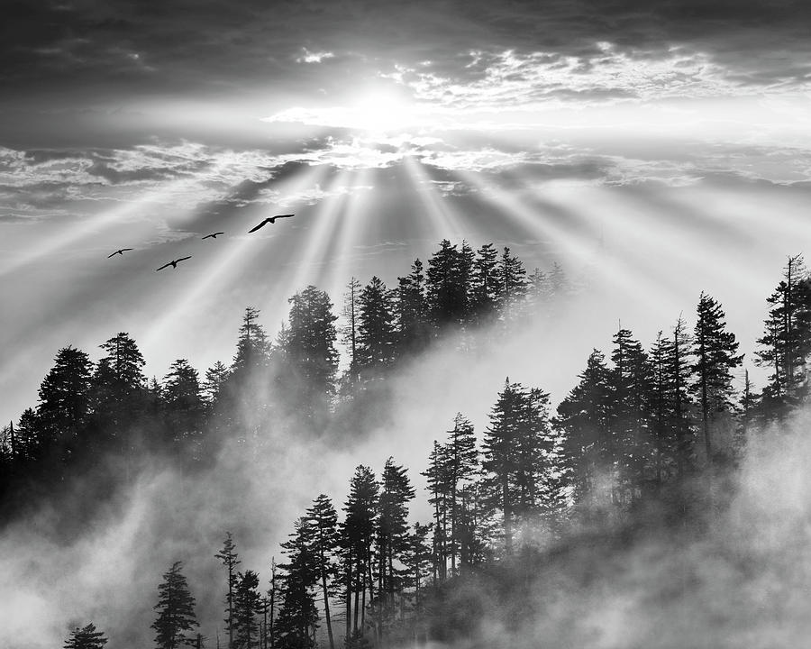 Nature Photograph - Smoky Mountain Sunrise, Tennessee 13 - Black & White by Monte Nagler