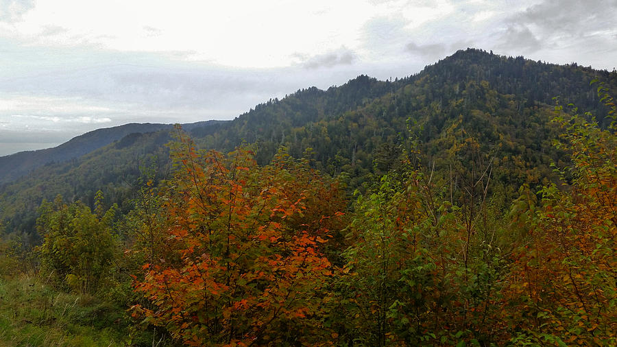 Smoky Mountains Photograph