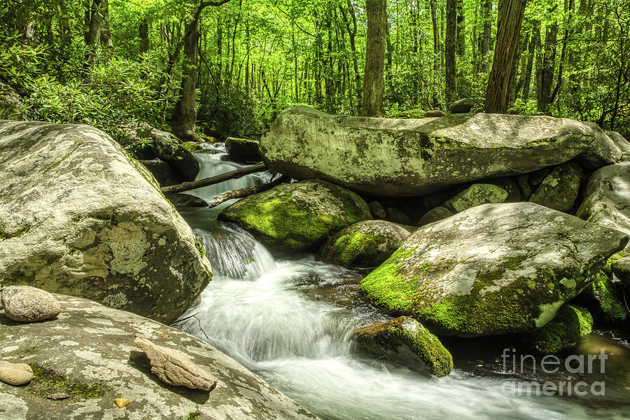 Smoky Mountains In Spring Photograph by Mel Steinhauer