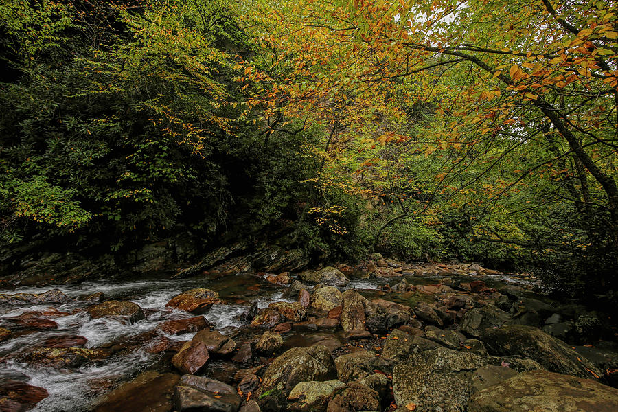 Smoky Mountains National Park Rapids and Fall Colors Photograph by Judy Vincent