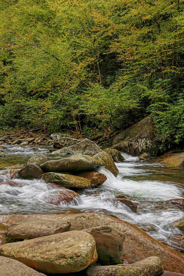 Smoky Mountains National Park Rapids Vertical Photograph by Judy Vincent