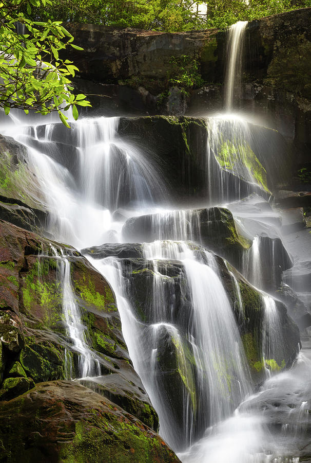 Jungle Photograph - Smoky Mountains Waterfall by Jonathan Ross