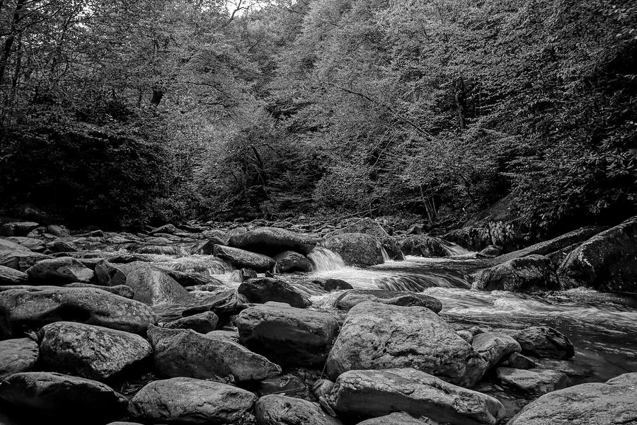 Smoky Mountains West Prong Little Pigeon River 2 Photograph