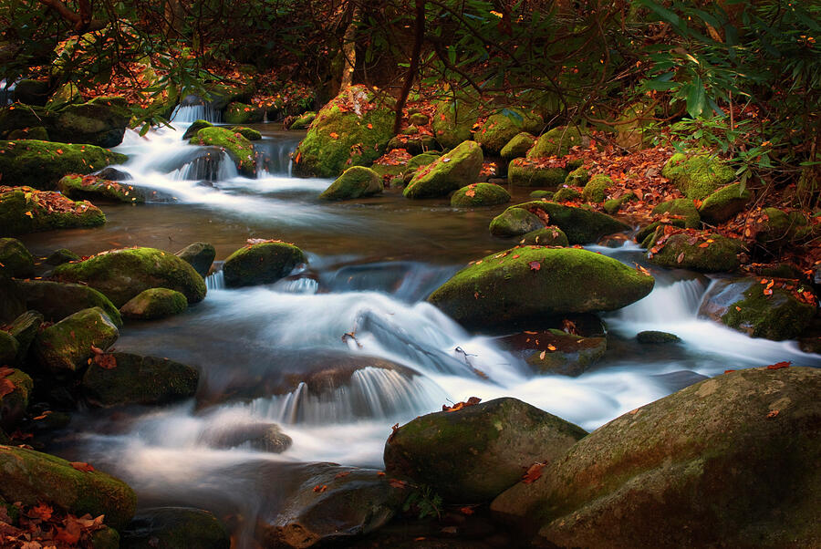 Smoky Mtn autumn stream Photograph by Paul W Faust -  Impressions of Light