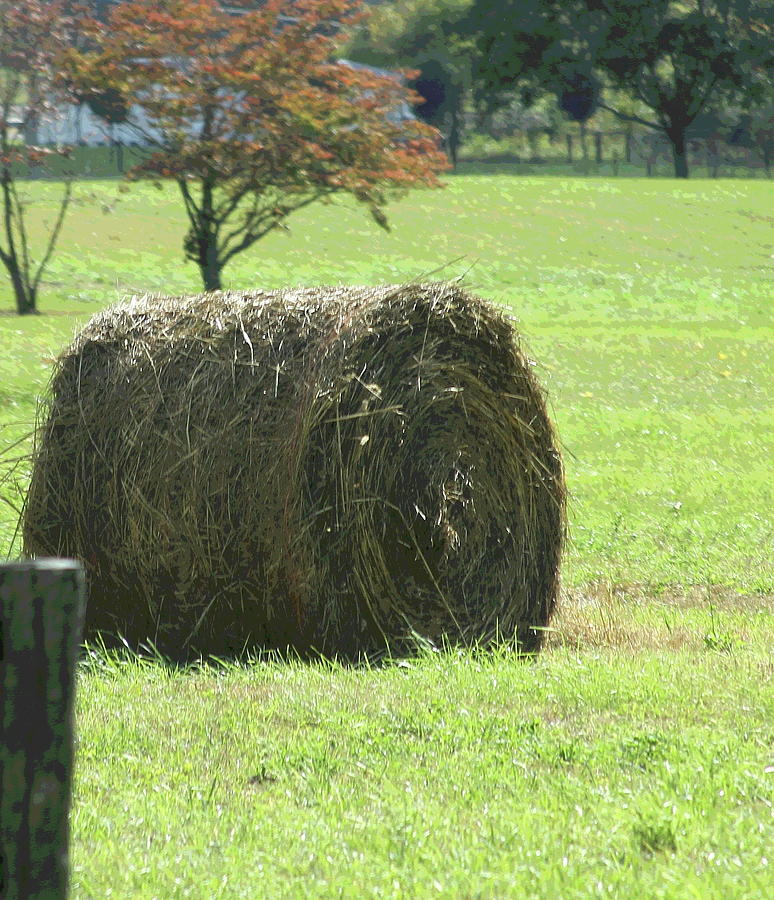Smoky Mtn Hay Bale Photograph By Cathy Lindsey