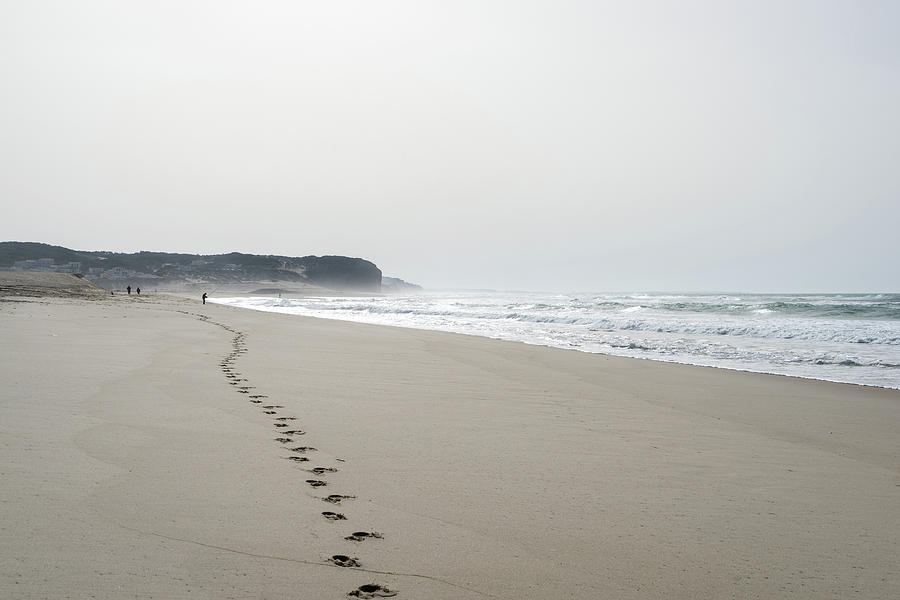 Smooth Beach - Leading Footsteps on the Sand Photograph by Georgia Mizuleva