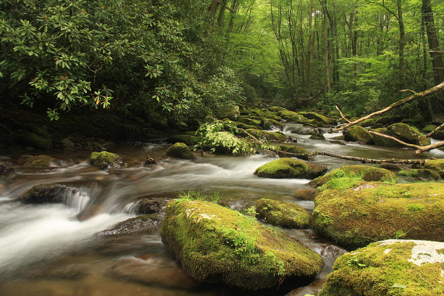 Smooth Water Photograph by Jessica Rose - Fine Art America