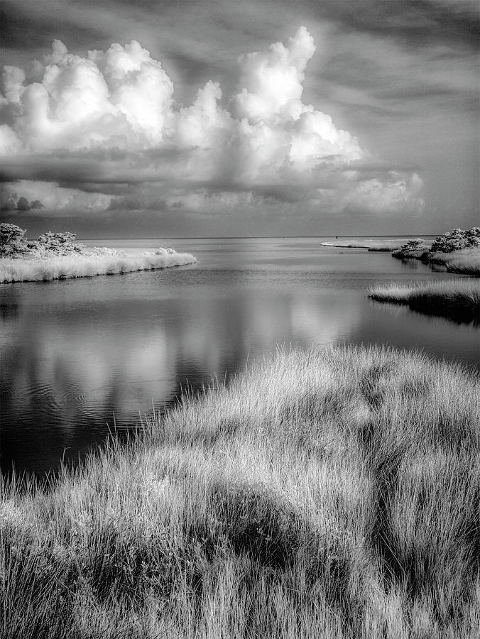 Smooth Waters BW Photograph by Dan Carmichael