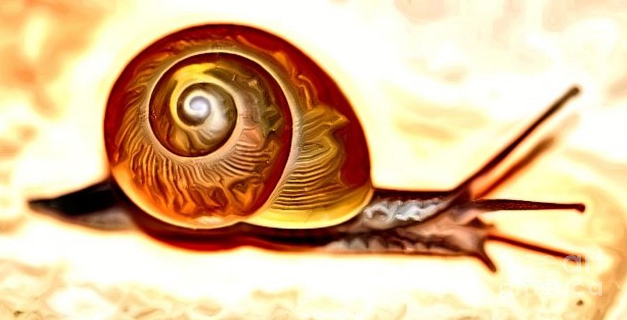 Snail Art Photograph by Mesa Teresita