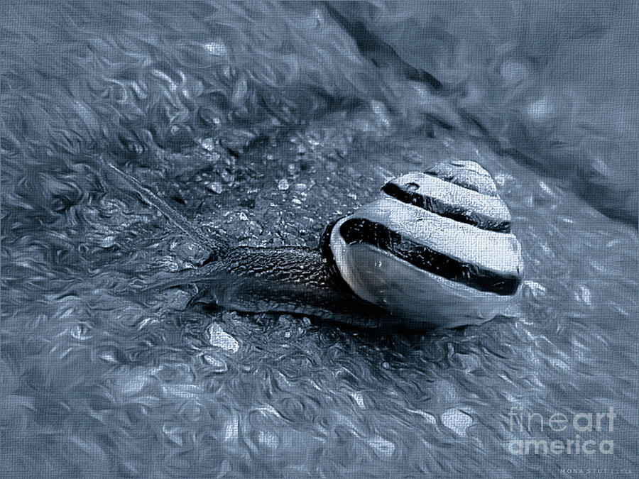 Snail in House Closeup BW Digital Art by Mona Stut