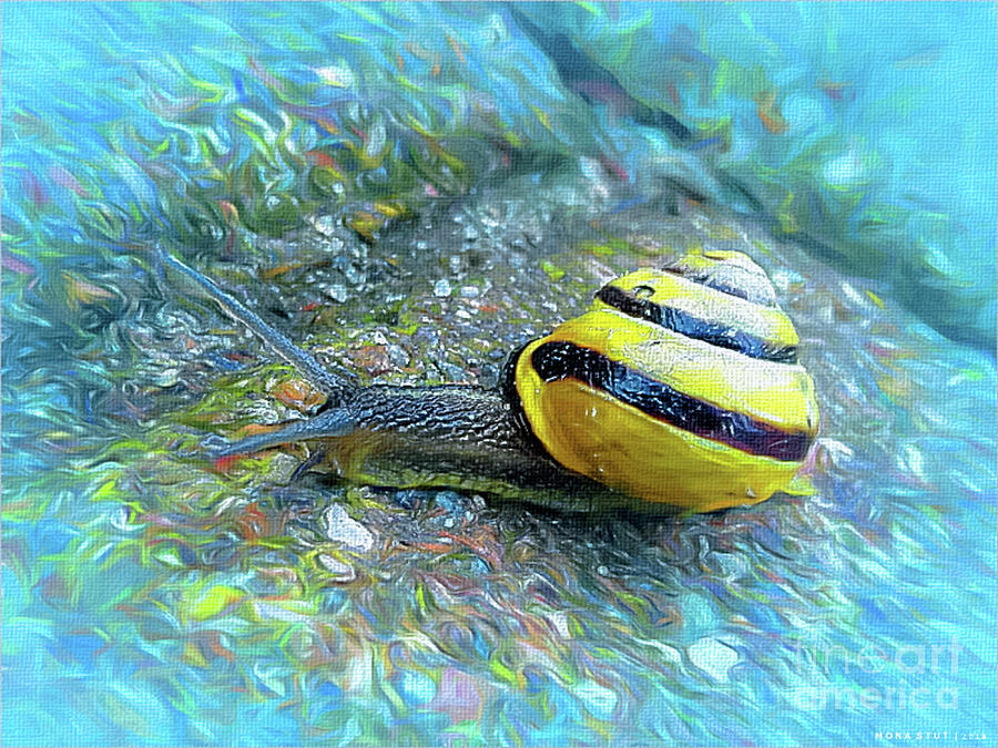 Snail in House Closeup Digital Art by Mona Stut