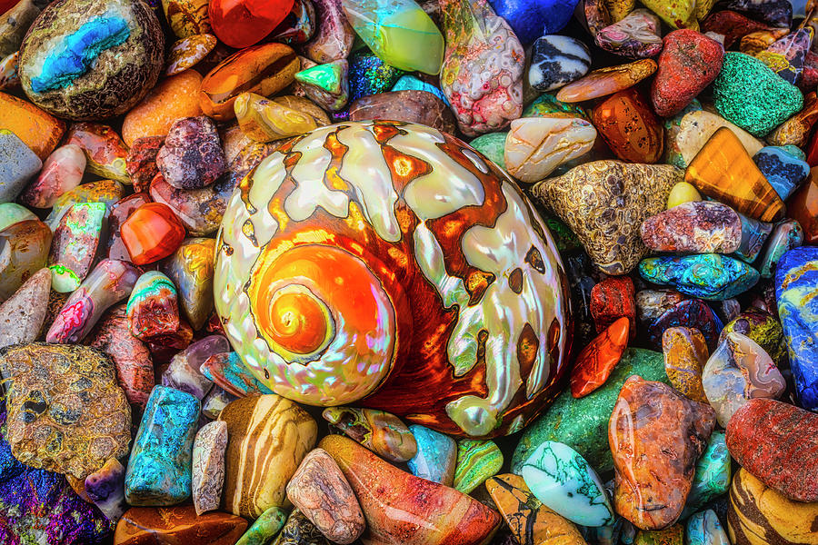 Snail Shell And Colorful Stones Photograph by Garry Gay