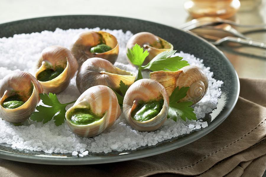 Fish Photograph - Snails With Herb Butter On A Bed Of Salt by Alessandra Pizzi