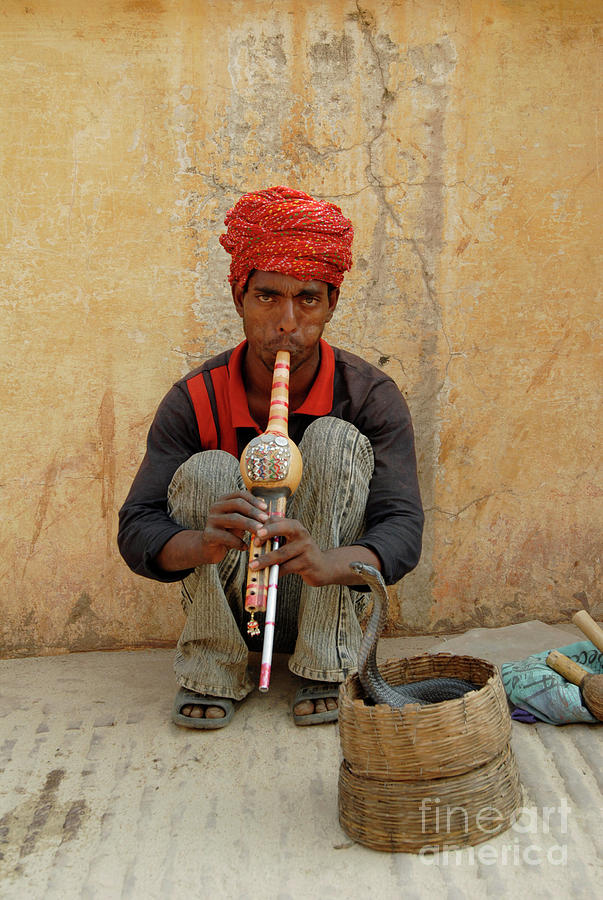 Snake Charmer Photograph by Simon Fraser/science Photo Library