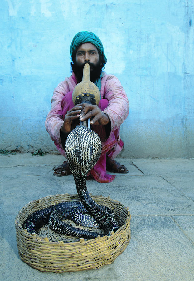 Snake Charmer, Varanasi, Uttar Pradesh Photograph by Art Wolfe