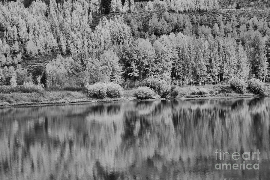 Snake River Fall Foliage Reflections Black And White Photograph by Adam Jewell