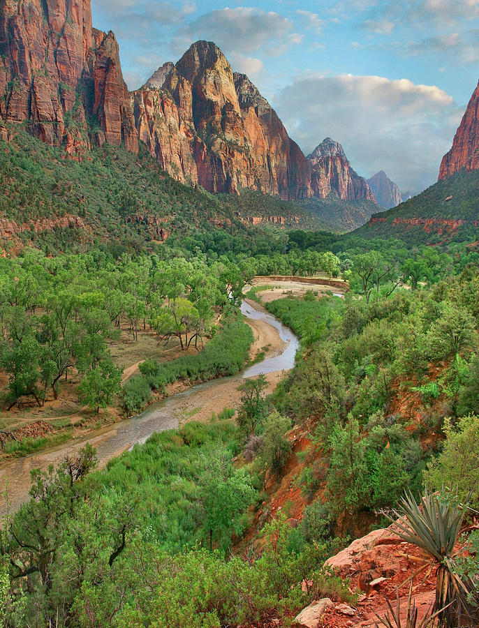Snake River In Zion Canyon Photograph by Tim Fitzharris