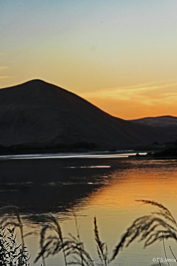Snake River Visit At Sunset Digital Art by Tom Janca