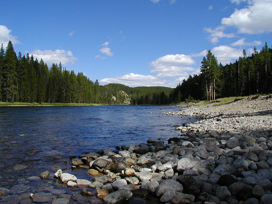 Snake River With The Forest On A Clear Photograph by Drflet