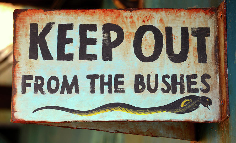 Snake warning sign Photograph by David Lee Thompson
