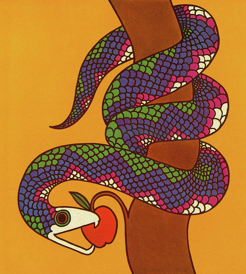 Snake Drawing - Snake With Apple by CSA Images