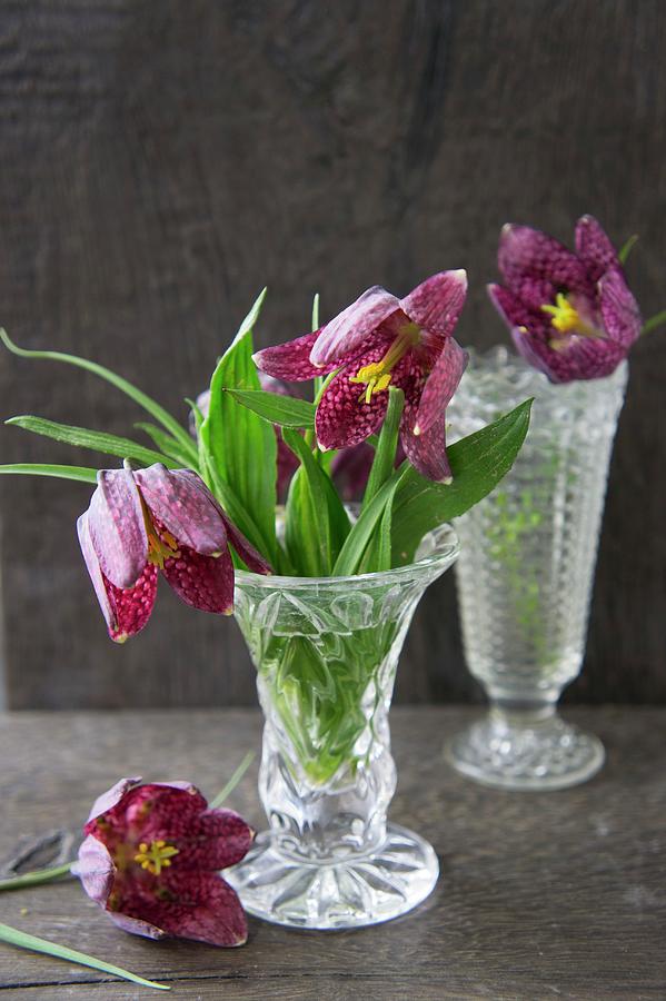 Snakes Head Fritillaries In Vintage-style Glass Vases Photograph by Martina Schindler