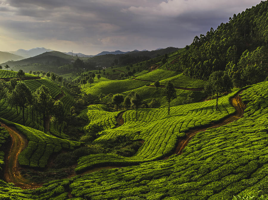 Snaking Path On Rolling Hills Photograph by Susheel Marcus - Fine Art ...