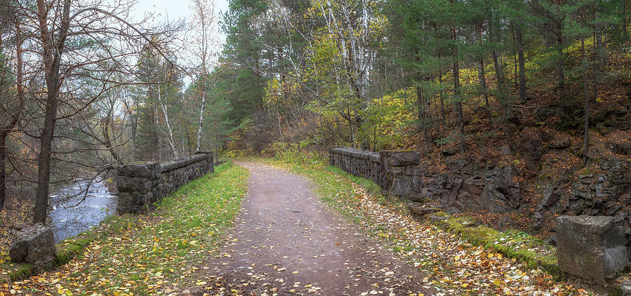 Snively Trail Photograph by Susan Rissi Tregoning