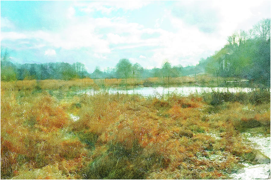 Landscape Digital Art - Snohomish Riverlands by Tobeimean Peter