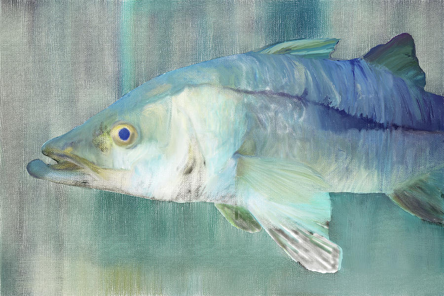 Snook Digital Painting by Gene Norris Snook Digital Painting by Gene Norris