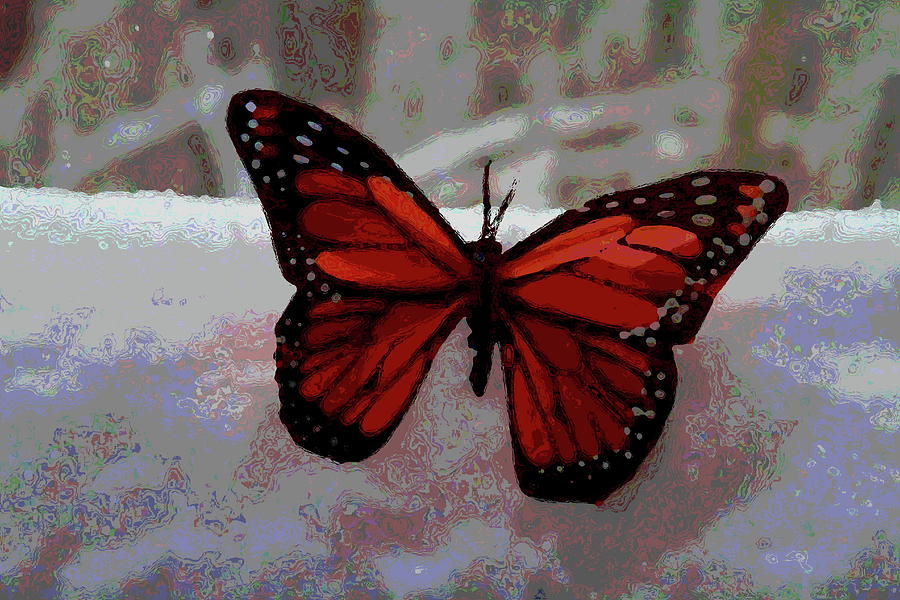 Snow And Faux Butterfly Photograph by Cathy Lindsey - Pixels