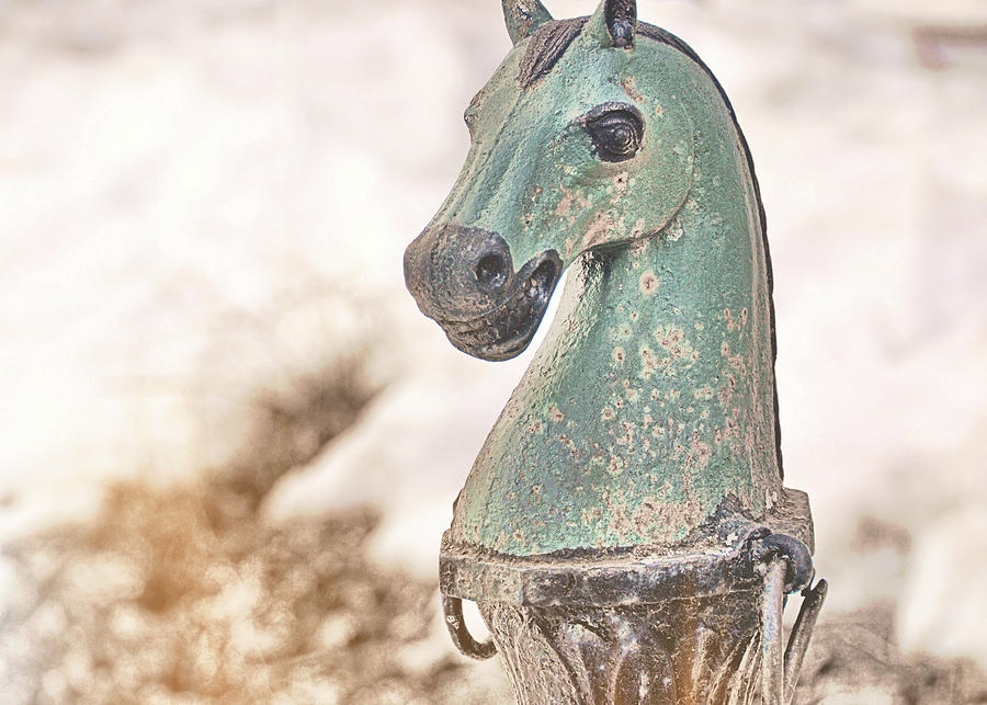 Snow And Iron Photograph by Dressage Design