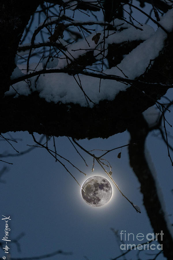 Snow And Moon Photograph