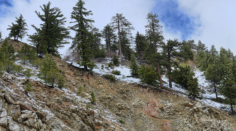Snow and Rocks and Pines Photograph by Paulette B Wright