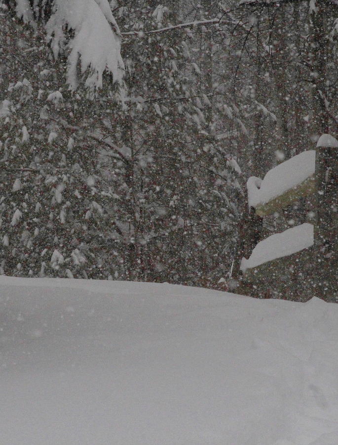 Snow And Split Rail Fence Photograph