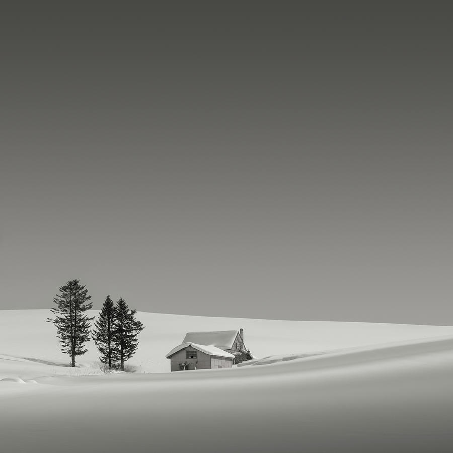 Snow and Trees IX by Francis Ansing Snow and Trees IX by Francis Ansing