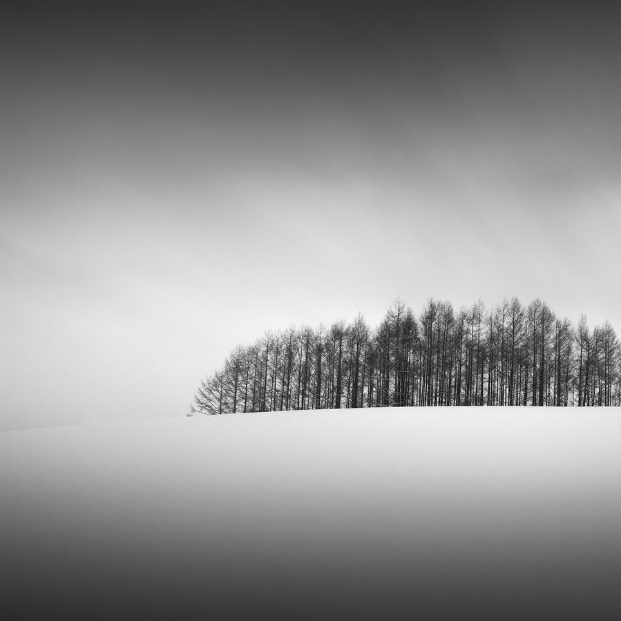 Snow and Trees X by Francis Ansing Snow and Trees X by Francis Ansing