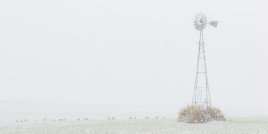 Snow and Windmill 01 Photograph by Rob Graham