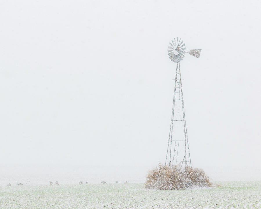 Snow and Windmill 02 Photograph by Rob Graham